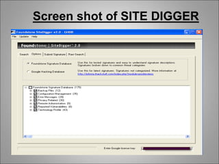 Screen shot of SITE DIGGER
 
