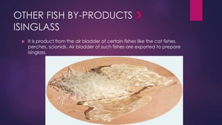 fish byproducts | PPTX