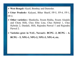  West Bengal:- Kazil, Bombay and Damodar.
 Uttar Pradesh:- Kalyani, Bihar Sharif, FP-5, FP-4, FP-1,
FP-3.
 Other varieties:- Shankolia, Swarn Rekha, Swarn Alaukik
and Chota Hilli, Ches Elite Line, Ches Hybrid 1, Ches
Hybrids 2, Dandali, Hilli, Rajendra Parwal 1 and Rajendra
Parwal 2.
 Varieties grow in NAU, Navsari:- BCPG -3, BCPG – 4,
BCPG – 5, NPG-1, NPG-2, NPG-3, NPG-4, etc.
 West Bengal:- Kazil, Bombay and Damodar.
 Uttar Pradesh:- Kalyani, Bihar Sharif, FP-5, FP-4, FP-1,
FP-3.
 Other varieties:- Shankolia, Swarn Rekha, Swarn Alaukik
and Chota Hilli, Ches Elite Line, Ches Hybrid 1, Ches
Hybrids 2, Dandali, Hilli, Rajendra Parwal 1 and Rajendra
Parwal 2.
 Varieties grow in NAU, Navsari:- BCPG -3, BCPG – 4,
BCPG – 5, NPG-1, NPG-2, NPG-3, NPG-4, etc.
21
 