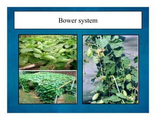 Bower system
 