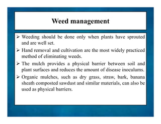 Weed management
 Weeding should be done only when plants have sprouted
and are well set.
 Hand removal and cultivation are the most widely practiced
method of eliminating weeds.
 The mulch provides a physical barrier between soil and
plant surfaces and reduces the amount of disease inoculums.
 Organic mulches, such as dry grass, straw, bark, banana
sheath composted sawdust and similar materials, can also be
used as physical barriers.
 Weeding should be done only when plants have sprouted
and are well set.
 Hand removal and cultivation are the most widely practiced
method of eliminating weeds.
 The mulch provides a physical barrier between soil and
plant surfaces and reduces the amount of disease inoculums.
 Organic mulches, such as dry grass, straw, bark, banana
sheath composted sawdust and similar materials, can also be
used as physical barriers.
 