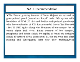 NAU Recommendation
The Parwal growing farmers of South Gujarat are advised to
grow pointed gourd (parwal) cv. Local” under INM system with
basal dose of FYM (20 t/ha) and fertilize their pointed gourd crop
with the combination of 50% Recommended dose of fertilizer (60
: 30 : 20 NPK kg/ha) along with 10 tonnes of bio compost /ha to
obtain higher fruit yield. Entire quantity of bio compost,
phosphorus and potash should be applied as basal and nitrogen
should be applied in two equal splits at 30th and 60th days after
planting and subsequently next year after pruning.(2011)
The Parwal growing farmers of South Gujarat are advised to
grow pointed gourd (parwal) cv. Local” under INM system with
basal dose of FYM (20 t/ha) and fertilize their pointed gourd crop
with the combination of 50% Recommended dose of fertilizer (60
: 30 : 20 NPK kg/ha) along with 10 tonnes of bio compost /ha to
obtain higher fruit yield. Entire quantity of bio compost,
phosphorus and potash should be applied as basal and nitrogen
should be applied in two equal splits at 30th and 60th days after
planting and subsequently next year after pruning.(2011)
 