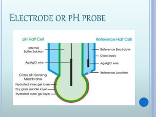 ELECTRODE OR PH PROBE
 