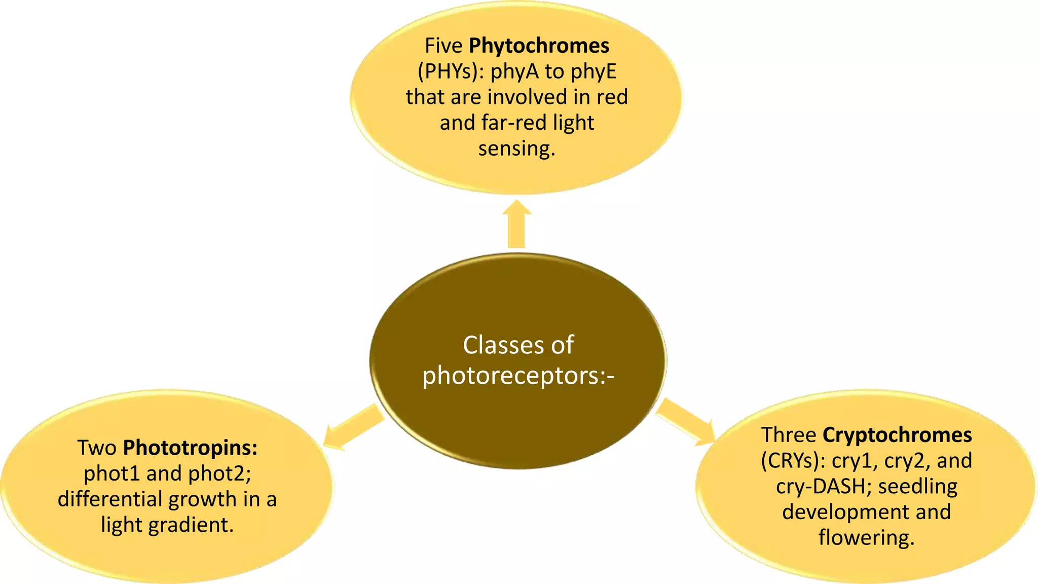 Emerging Roles and New Paradigms in Signaling Mechanisms of Plant ...