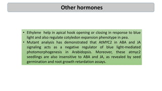 • Ethylene help in apical hook opening or closing in response to blue
light and also regulate cotyledon expansion phenotype in pea.
• Mutant analysis has demonstrated that AtMYC2 in ABA and JA
signaling acts as a negative regulator of blue light-mediated
photomorphogenesis in Arabidopsis. Moreover, these atmyc2
seedlings are also insensitive to ABA and JA, as revealed by seed
germination and root growth retardation assays.
Other hormones
 