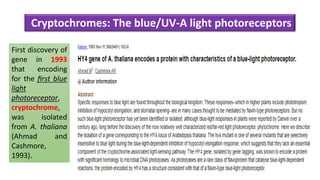 First discovery of
gene in 1993
that encoding
for the ﬁrst blue
light
photoreceptor,
cryptochrome,
was isolated
from A. thaliana
(Ahmad and
Cashmore,
1993).
Cryptochromes: The blue/UV-A light photoreceptors
 