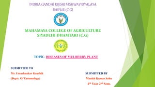 INDIRA GANDHI KRISHI VISHWAVIDYALAYA
RAIPUR (C.G)
MAHAMAYA COLLEGE OF AGRICULTURE
SIYADEHI DHAMTARI (C.G)
TOPIC- DISEASES OF MULBERRY PLANT
SUBMITTED TO
Mr. Umashankar Kaushik SUBMITTED BY
(Deptt. Of Entomology) Manish Kumar Sahu
4th Year 2nd Sem.
 