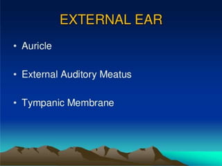 EMBRYOLOGY AND MALFORMATION OF EAR | PPTX