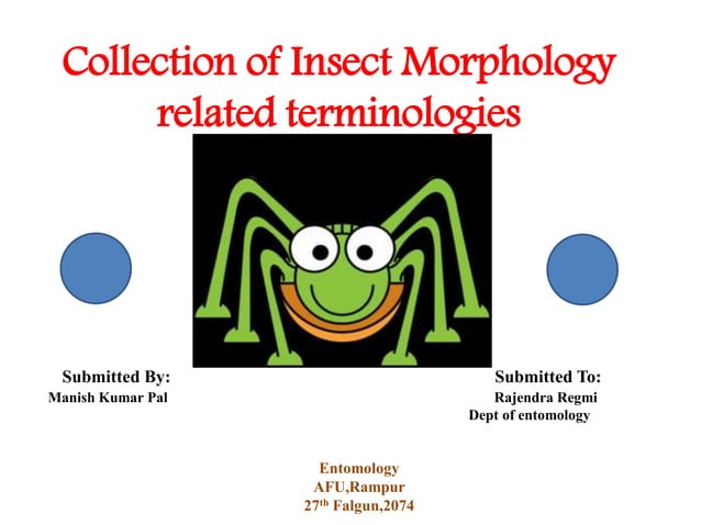 Terminologies related to insect Morphology PPTX