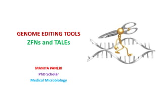 GENOME EDITING TOOLS
ZFNs and TALEs
MANITA PANERI
PhD Scholar
Medical Microbiology
 