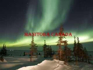 Manitoba canada
 