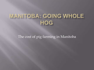 Manitoba: Going whole Hog The cost of pig farming in Manitoba 