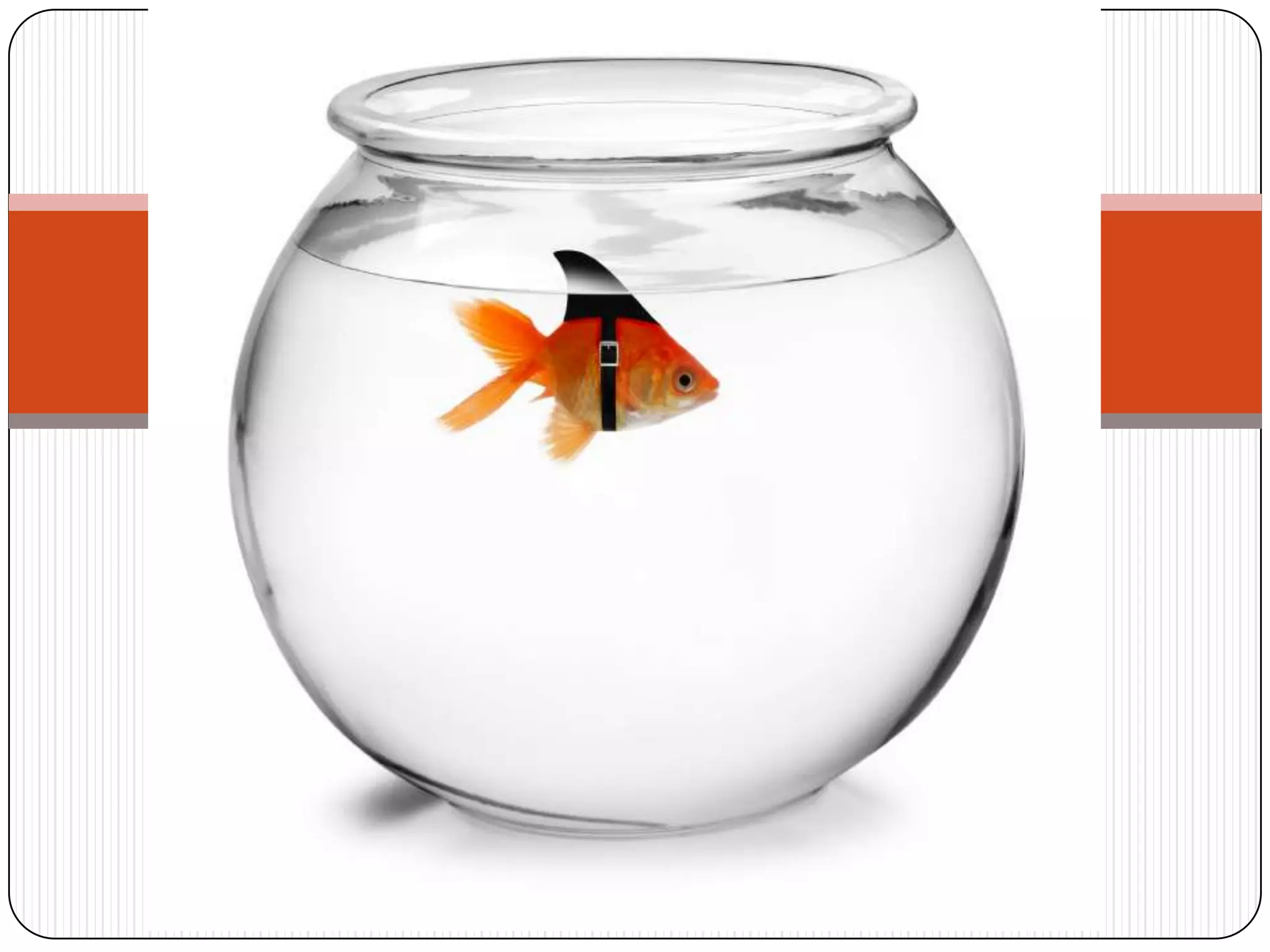 Collaboration SuiteThe Cloud