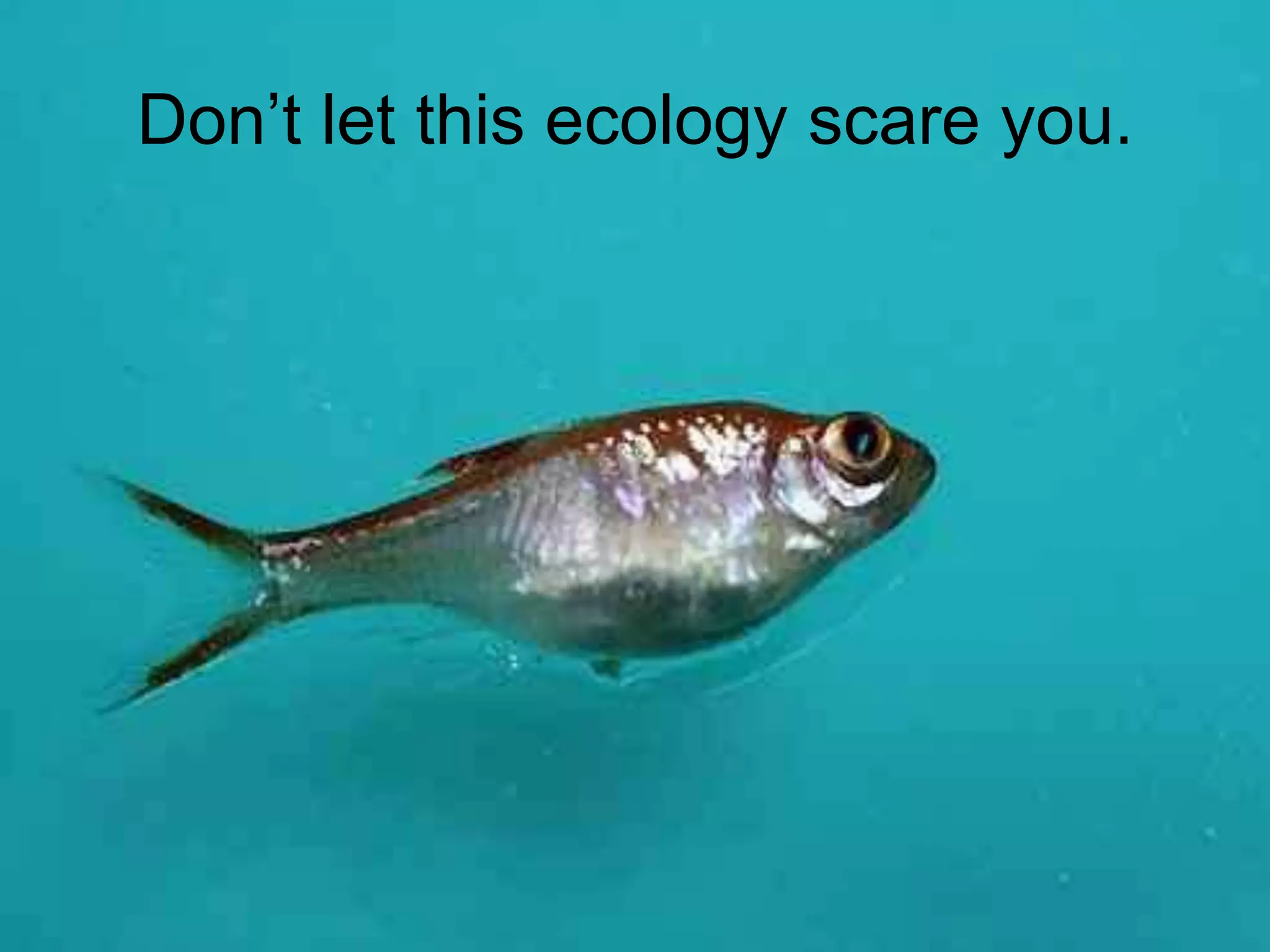 Get Good at The Cloud