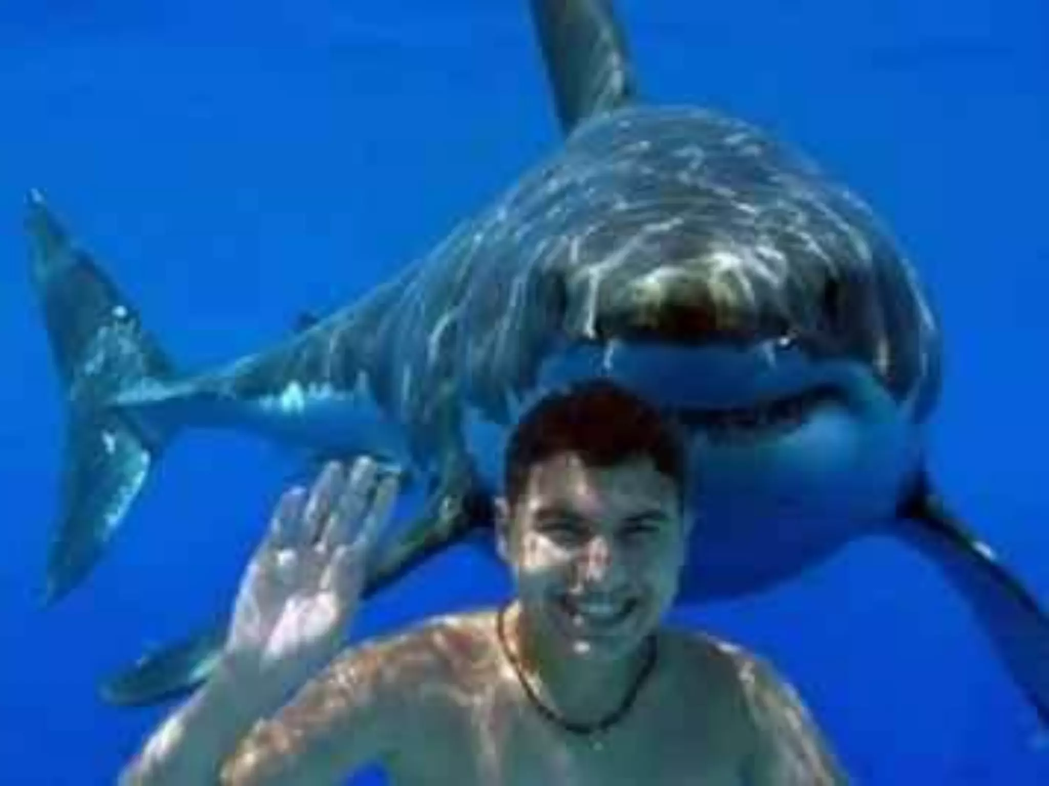 Collaboration SuiteBlogs