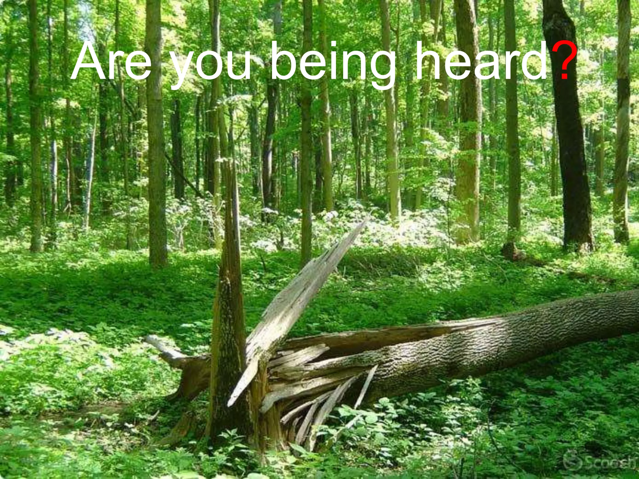 Are you being heard?