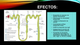 EFECTOS:
• Expanden el volumen de
líquido extracelular
• Disminuyen la viscosidad
sanguínea
• inhiben la liberación de
renina
• Incrementan el flujo
sanguíneo renal.
• Inhibir la resorción de mg2
• Antagonizan la acción de
ADH en el túbulo colector
• Aumentan la excreción
urinaria de casi todos los
electrólitos, entre ellos na, K,
ca2, mg2, cl, HCO3 y fosfato.
 