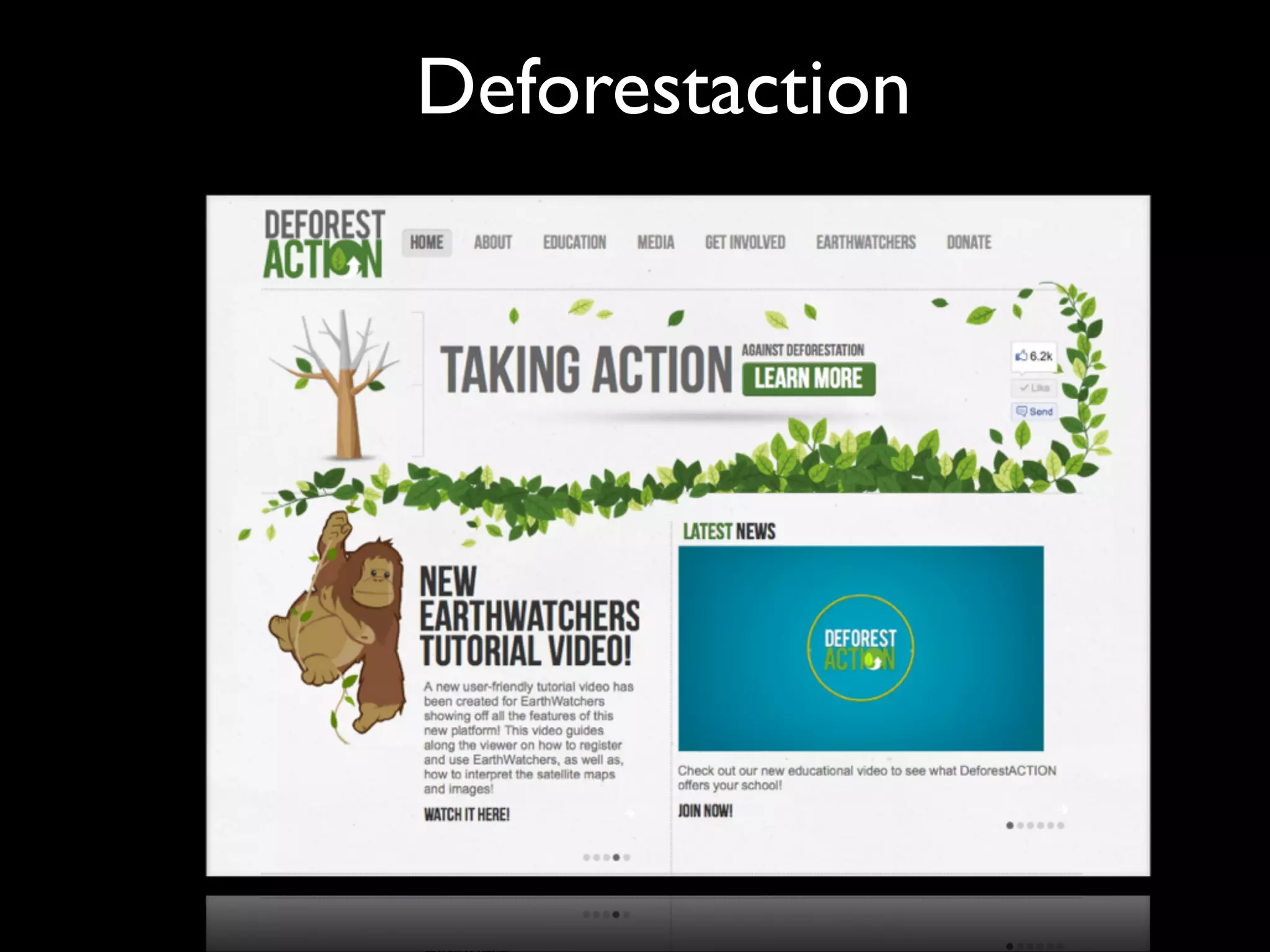 Deforestaction

 