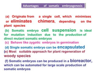 (a) Originate from a single cell, which minimises
or eliminates chimera, depending on the
plant species
(b) Somatic embryo cell suspension is ideal
for mutation induction due to the production of
direct mutant somatic embryos
(c) Behave like zygotic embryos in germination
(d) Single somatic embryo can be encapsulated
(e) Most suitable approach for plant regeneration of
woody species
(f) Somatic embryos can be produced in a bioreactor,
which can be automated for large scale production of
somatic embryos
Advantages of somatic embryogenesisAdvantages of somatic embryogenesis
 