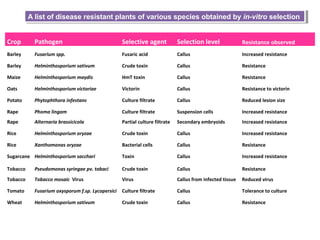 Crop Pathogen Selective agent Selection level Resistance observed
Barley Fusarium spp. Fusaric acid Callus Increased resistance
Barley Helminthosporium sativum Crude toxin Callus Resistance
Maize Helminthosporium maydis HmT toxin Callus Resistance
Oats Helminthosporium victoriae Victorin Callus Resistance to victorin
Potato Phytophthora infestans Culture filtrate Callus Reduced lesion size
Rape Phoma lingam Culture filtrate Suspension cells Increased resistance
Rape Alternaria brassicicola Partial culture filtrate Secondary embryoids Increased resistance
Rice Helminthosporium oryzae Crude toxin Callus Increased resistance
Rice Xanthomonas oryzae Bacterial cells Callus Resistance
Sugarcane Helminthosporium sacchari Toxin Callus Increased resistance
Tobacco Pseudomonas syringae pv. tabaci Crude toxin Callus Resistance
Tobacco Tobacco mosaic Virus Virus Callus from infected tissue Reduced virus
Tomato Fusarium oxysporum f.sp. Lycopersici Culture filtrate Callus Tolerance to culture
Wheat Helminthosporium sativum Crude toxin Callus Resistance
A list of disease resistant plants of various species obtained by in-vitro selectionA list of disease resistant plants of various species obtained by in-vitro selection
 