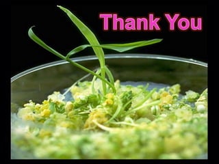 Invitro mutation selection for biotic stresses in Plants