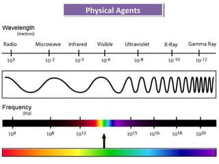 Physical AgentsPhysical Agents
 