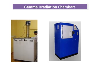 Gamma Irradiation ChambersGamma Irradiation Chambers
 