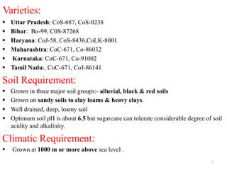 Colk Cultivation of sugarcane......... | PPTX