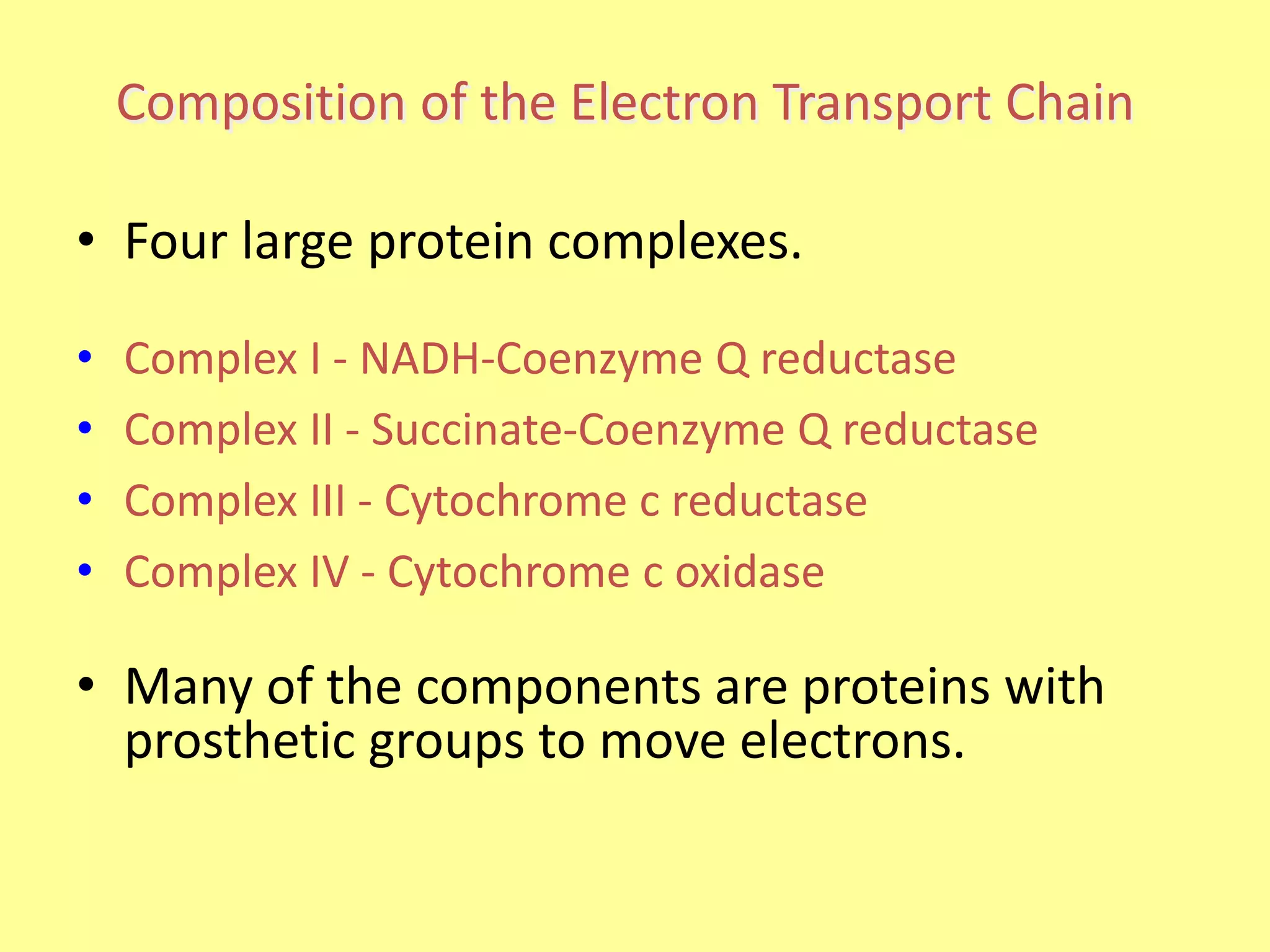 Composition of the Electron Transport Chain
• Four large protein complexes.
• Complex I - NADH-Coenzyme Q reductase
• Complex II - Succinate-Coenzyme Q reductase
• Complex III - Cytochrome c reductase
• Complex IV - Cytochrome c oxidase
• Many of the components are proteins with
prosthetic groups to move electrons.
 