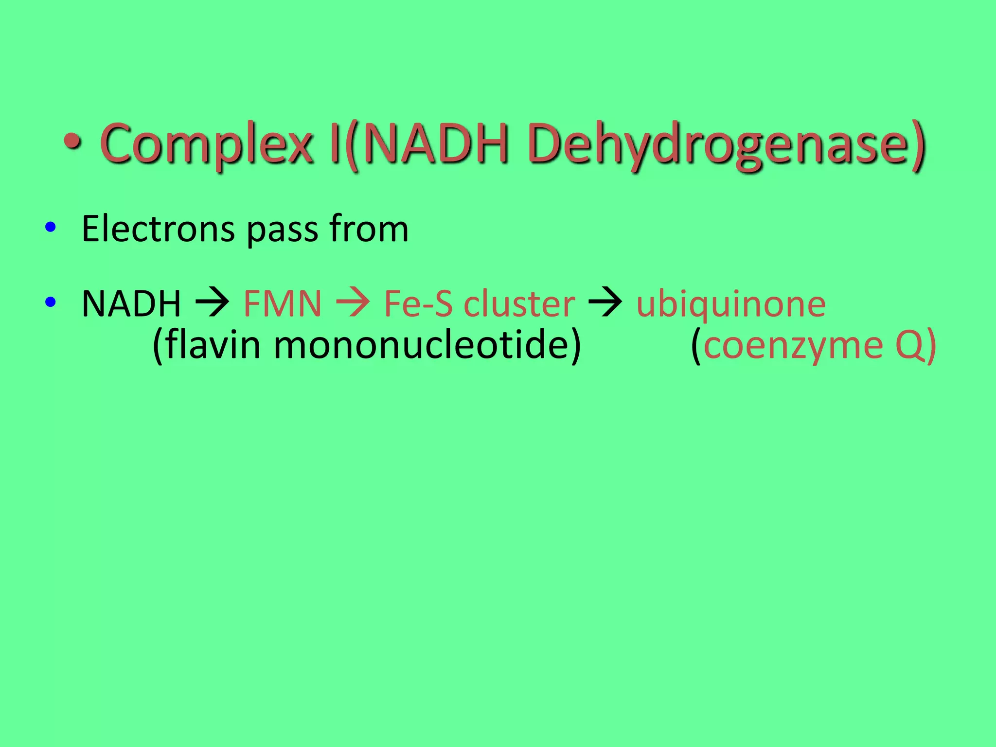 • Complex I(NADH Dehydrogenase)
• Electrons pass from
• NADH  FMN  Fe-S cluster  ubiquinone
(flavin mononucleotide) (coenzyme Q)
 