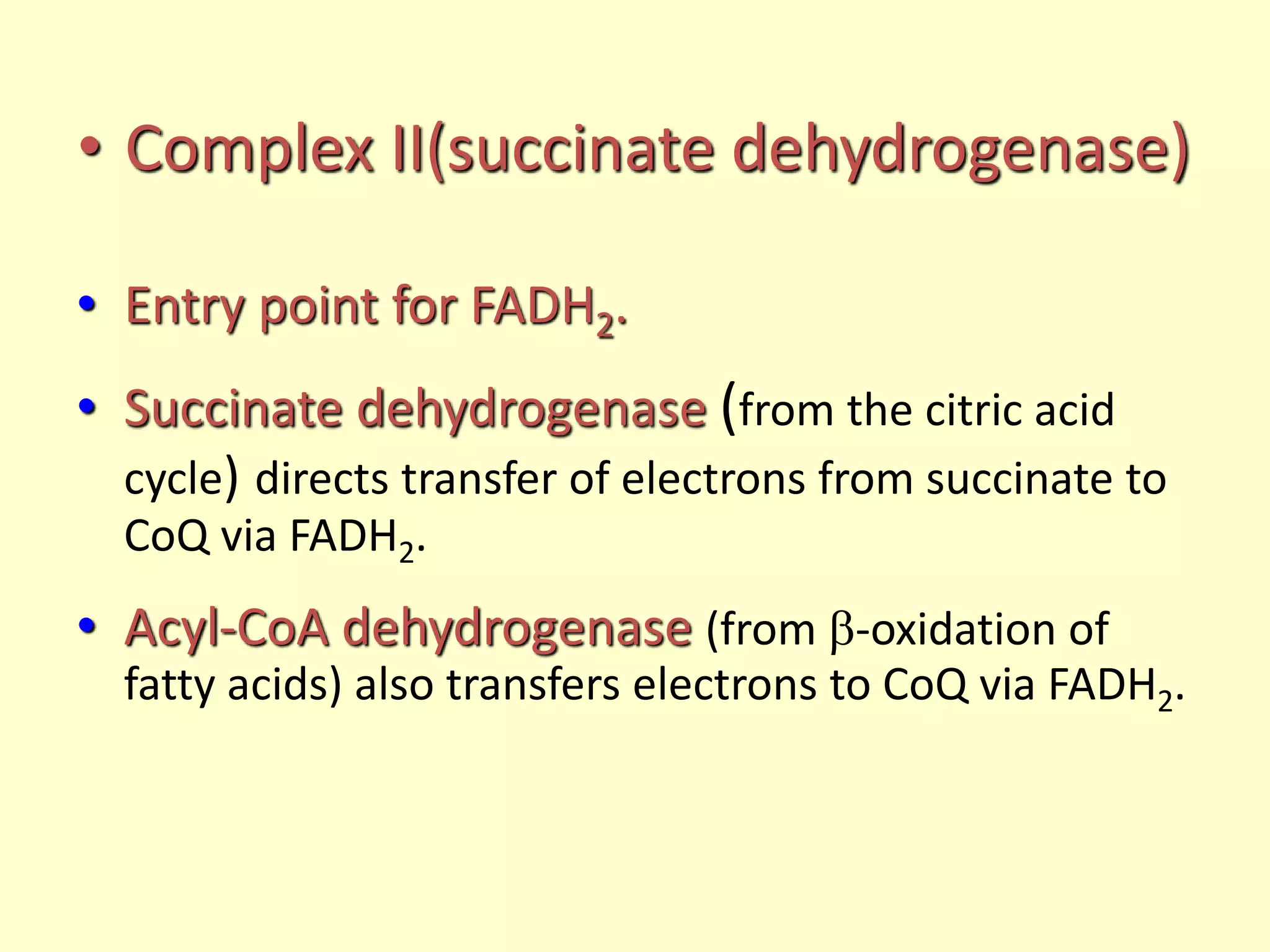 • Complex II(succinate dehydrogenase)
• Entry point for FADH2.
• Succinate dehydrogenase (from the citric acid
cycle) directs transfer of electrons from succinate to
CoQ via FADH2.
• Acyl-CoA dehydrogenase (from -oxidation of
fatty acids) also transfers electrons to CoQ via FADH2.
 