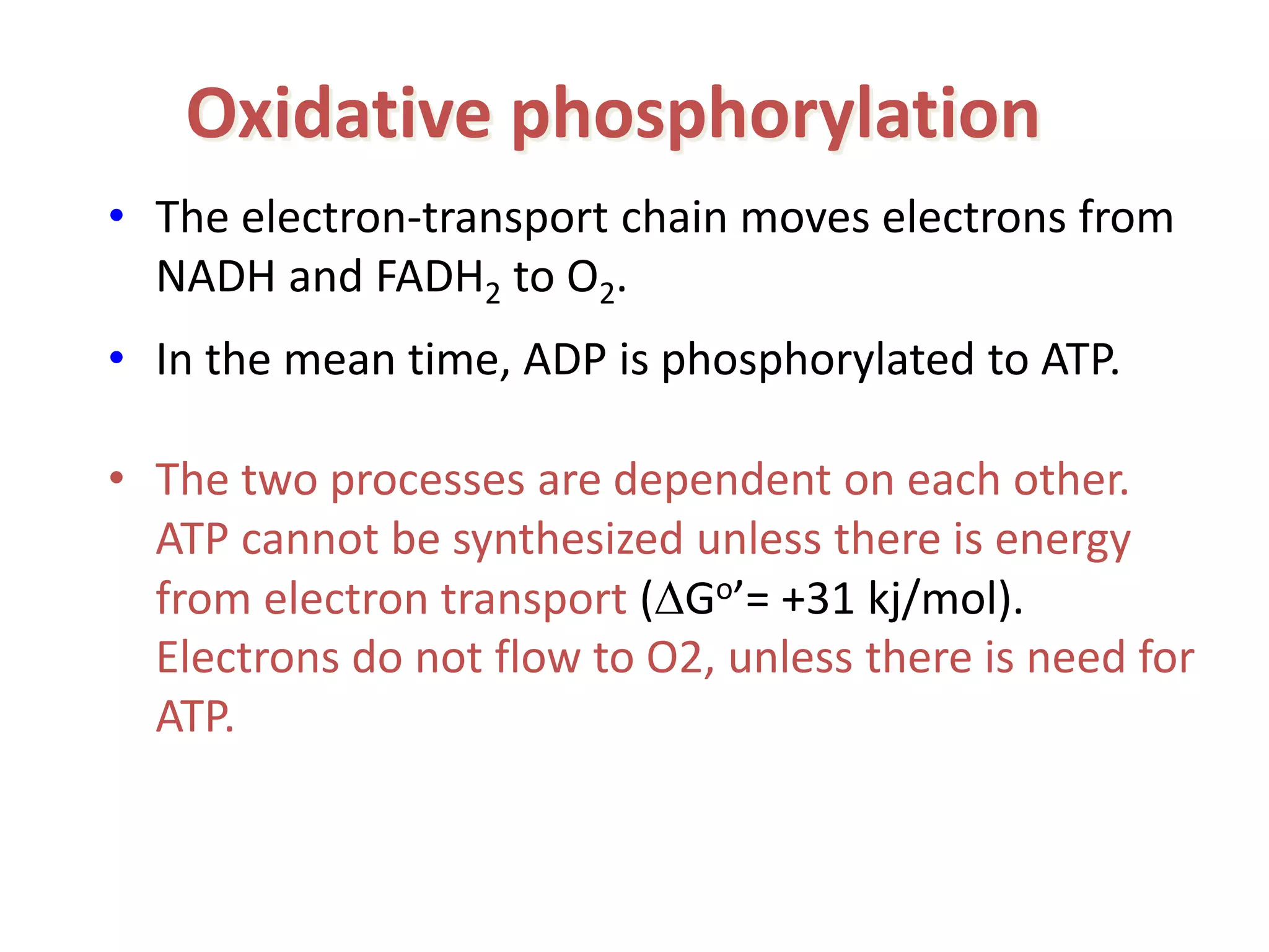 Oxidative phosphorylation
• The electron-transport chain moves electrons from
NADH and FADH2 to O2.
• In the mean time, ADP is phosphorylated to ATP.
• The two processes are dependent on each other.
ATP cannot be synthesized unless there is energy
from electron transport (Go’= +31 kj/mol).
Electrons do not flow to O2, unless there is need for
ATP.
 