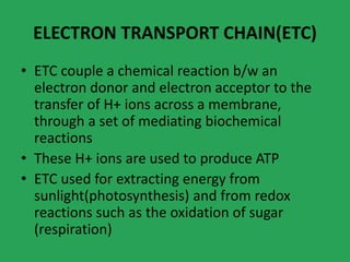 ELECTRON TRANSPORT CHAIN(ETC)
• ETC couple a chemical reaction b/w an
electron donor and electron acceptor to the
transfer of H+ ions across a membrane,
through a set of mediating biochemical
reactions
• These H+ ions are used to produce ATP
• ETC used for extracting energy from
sunlight(photosynthesis) and from redox
reactions such as the oxidation of sugar
(respiration)
 