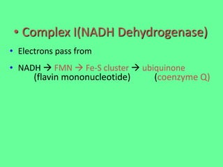 • Complex I(NADH Dehydrogenase)
• Electrons pass from
• NADH  FMN  Fe-S cluster  ubiquinone
(flavin mononucleotide) (coenzyme Q)
 