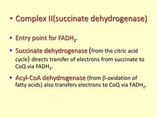 • Complex II(succinate dehydrogenase)
• Entry point for FADH2.
• Succinate dehydrogenase (from the citric acid
cycle) directs transfer of electrons from succinate to
CoQ via FADH2.
• Acyl-CoA dehydrogenase (from -oxidation of
fatty acids) also transfers electrons to CoQ via FADH2.
 
