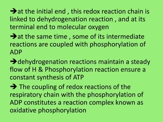 at the initial end , this redox reaction chain is
linked to dehydrogenation reaction , and at its
terminal end to molecular oxygen
at the same time , some of its intermediate
reactions are coupled with phosphorylation of
ADP
dehydrogenation reactions maintain a steady
flow of H & Phosphorylation reaction ensure a
constant synthesis of ATP
 The coupling of redox reactions of the
respiratory chain with the phosphorylation of
ADP constitutes a reaction complex known as
oxidative phosphorylation
 
