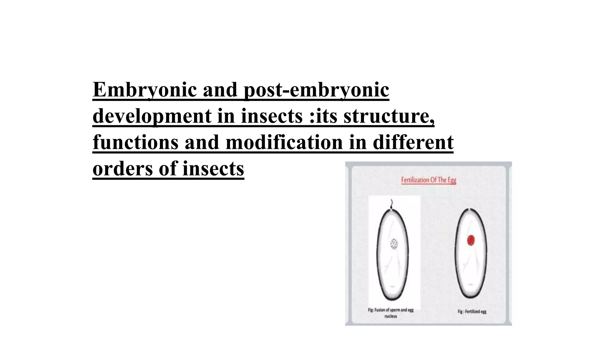Embryonic and post-embryonic
development in insects :its structure,
functions and modification in different
orders of insects
 
