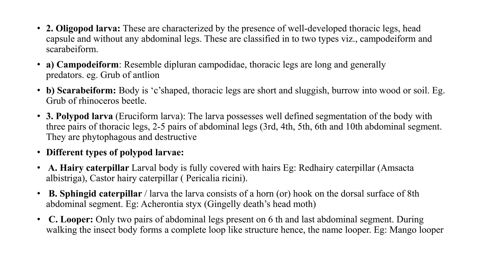 • 2. Oligopod larva: These are characterized by the presence of well-developed thoracic legs, head
capsule and without any abdominal legs. These are classified in to two types viz., campodeiform and
scarabeiform.
• a) Campodeiform: Resemble dipluran campodidae, thoracic legs are long and generally
predators. eg. Grub of antlion
• b) Scarabeiform: Body is ‘c’shaped, thoracic legs are short and sluggish, burrow into wood or soil. Eg.
Grub of rhinoceros beetle.
• 3. Polypod larva (Eruciform larva): The larva possesses well defined segmentation of the body with
three pairs of thoracic legs, 2-5 pairs of abdominal legs (3rd, 4th, 5th, 6th and 10th abdominal segment.
They are phytophagous and destructive
• Different types of polypod larvae:
• A. Hairy caterpillar Larval body is fully covered with hairs Eg: Redhairy caterpillar (Amsacta
albistriga), Castor hairy caterpillar ( Pericalia ricini).
• B. Sphingid caterpillar / larva the larva consists of a horn (or) hook on the dorsal surface of 8th
abdominal segment. Eg: Acherontia styx (Gingelly death’s head moth)
• C. Looper: Only two pairs of abdominal legs present on 6 th and last abdominal segment. During
walking the insect body forms a complete loop like structure hence, the name looper. Eg: Mango looper
 