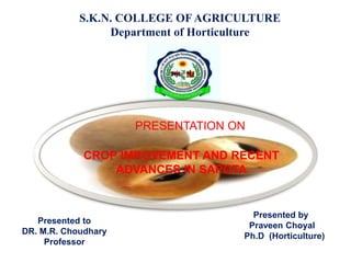 S.K.N. COLLEGE OF AGRICULTURE
Department of Horticulture
Presented to
DR. M.R. Choudhary
Professor
Presented by
Praveen Choyal
Ph.D (Horticulture)
CROP IMROVEMENT AND RECENT
ADVANCES IN SAPOTA
PRESENTATION ON
 