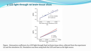 Optical propagation of blue LED light in brain tissue and Parylene-C ...