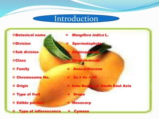 Mango Reproductive System CROP IMPROVEMENT AND RECENT ADVANCES IN MANGO | PPTX