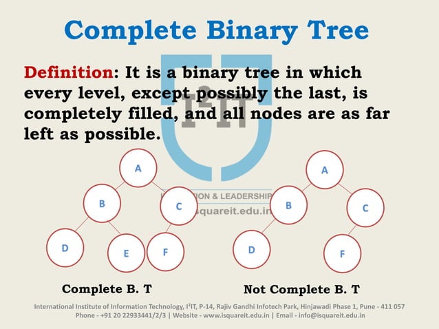 Introduction to Binary Tree | PPTX