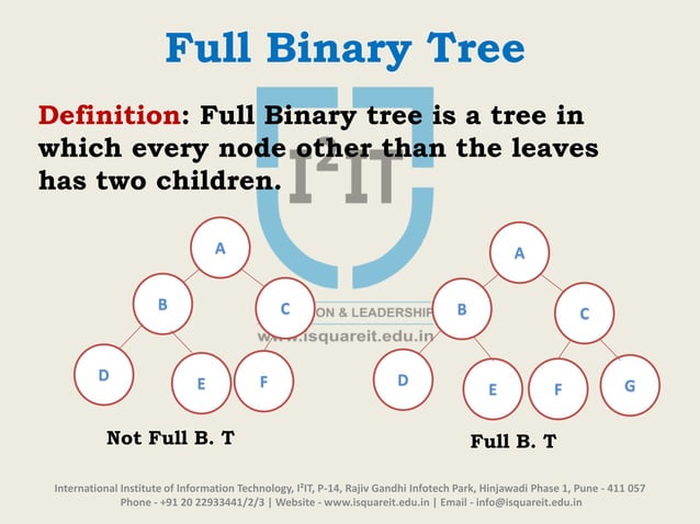 Introduction to Binary Tree | PPTX