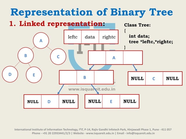 Introduction to Binary Tree | PPTX
