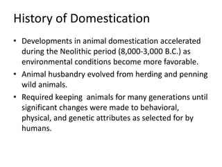 History of Domestication
• Developments in animal domestication accelerated
during the Neolithic period (8,000-3,000 B.C.) as
environmental conditions become more favorable.
• Animal husbandry evolved from herding and penning
wild animals.
• Required keeping animals for many generations until
significant changes were made to behavioral,
physical, and genetic attributes as selected for by
humans.
 