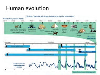 Human evolution
 