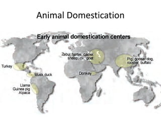 Animal Domestication
 