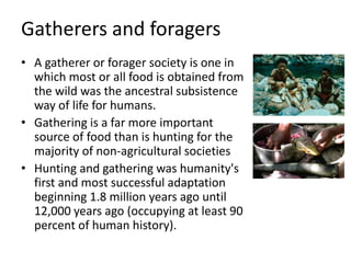 Gatherers and foragers
• A gatherer or forager society is one in
which most or all food is obtained from
the wild was the ancestral subsistence
way of life for humans.
• Gathering is a far more important
source of food than is hunting for the
majority of non-agricultural societies
• Hunting and gathering was humanity's
first and most successful adaptation
beginning 1.8 million years ago until
12,000 years ago (occupying at least 90
percent of human history).
 