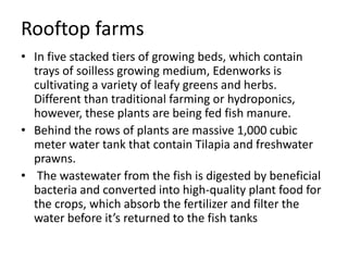 Rooftop farms
• In five stacked tiers of growing beds, which contain
trays of soilless growing medium, Edenworks is
cultivating a variety of leafy greens and herbs.
Different than traditional farming or hydroponics,
however, these plants are being fed fish manure.
• Behind the rows of plants are massive 1,000 cubic
meter water tank that contain Tilapia and freshwater
prawns.
• The wastewater from the fish is digested by beneficial
bacteria and converted into high-quality plant food for
the crops, which absorb the fertilizer and filter the
water before it’s returned to the fish tanks
 