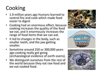 Cooking
• 1.9 million years ago Humans learned to
control fire and cook which made food
easier to digest
• Cooking had an enormous effect, because
cooking increases the quality of the food
we eat, and it enormously increases the
range of food items that we can eat.
• It led to changes in the body, such as
smaller teeth, and the jaw getting
smaller.
• Sometime around 250 or 300,000 years
ago cooking really got going
(archaeological evidence of earth ovens).
• We distinguish ourselves from the rest of
the world because they eat raw food and
we eat cooked food.
 